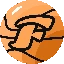 FST图标